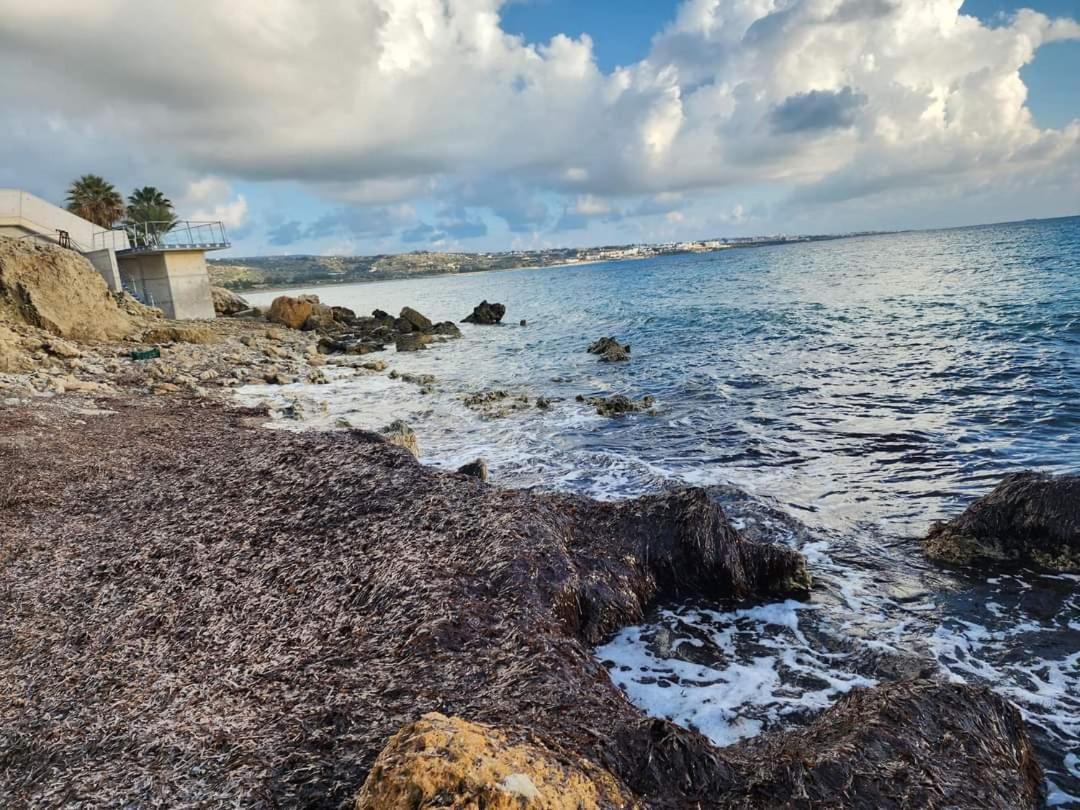 Serenity Corner Paphos Exterior photo